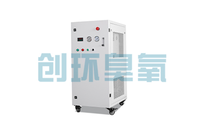 神农架比传统换水更高效?臭氧发生器在石斑鱼养殖中的水质净化原理解析