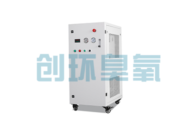 神农架比传统换水更高效？臭氧发生器在石斑鱼养殖中的水质净化原理解析
